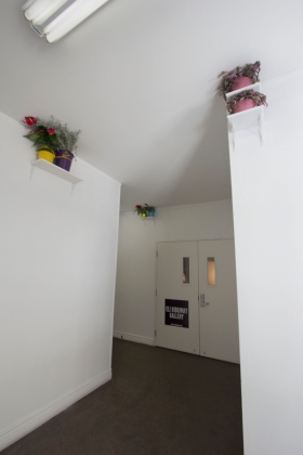 Hallway Space installation view, Mark Benson “Open Fields”, 2013. image courtesy of Eli Ridgway Gallery