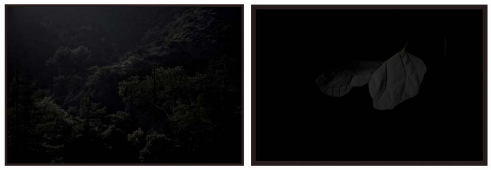 Sean McFarland, “Untitled (ridge)”, archival pigment print, *” x 12″ each, 2013. image courtesy of Eli Ridgway Gallery