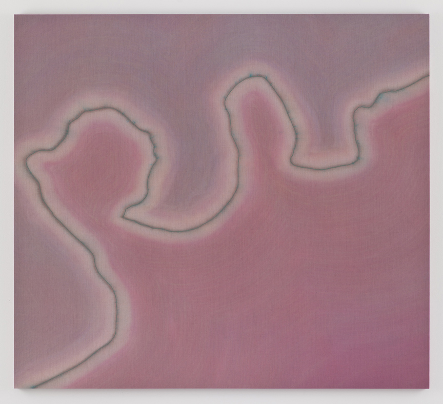 "Border Theory (rio bravo/las garzas)" 2014. Dye and oil on linen, 68 x 75-1/2 inches. Courtesy of Angles Gallery.
