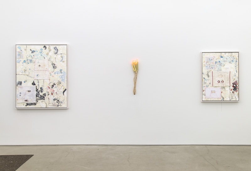 Installation view: Carter, Beside Myself, 2014. Courtesy of Lisa Cooley.