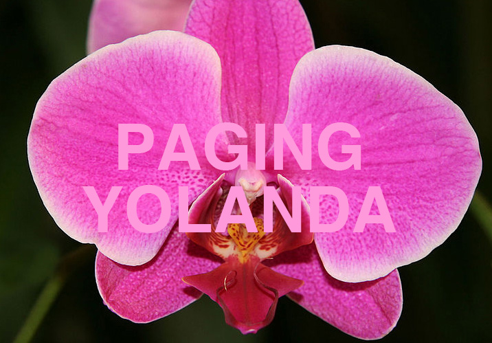 210_paging-yolanda