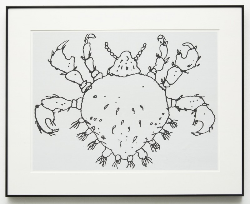 John Waters, "Crabs," 2014. Courtesy of the artist and Marianne Boesky Gallery.