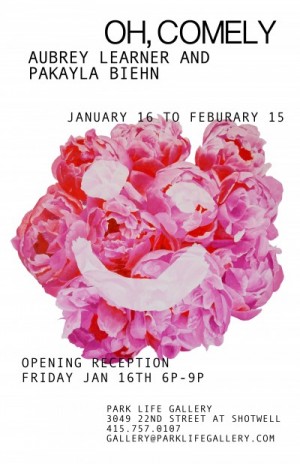 "OH, COMELY" at Park Life Gallery, opening January 16.