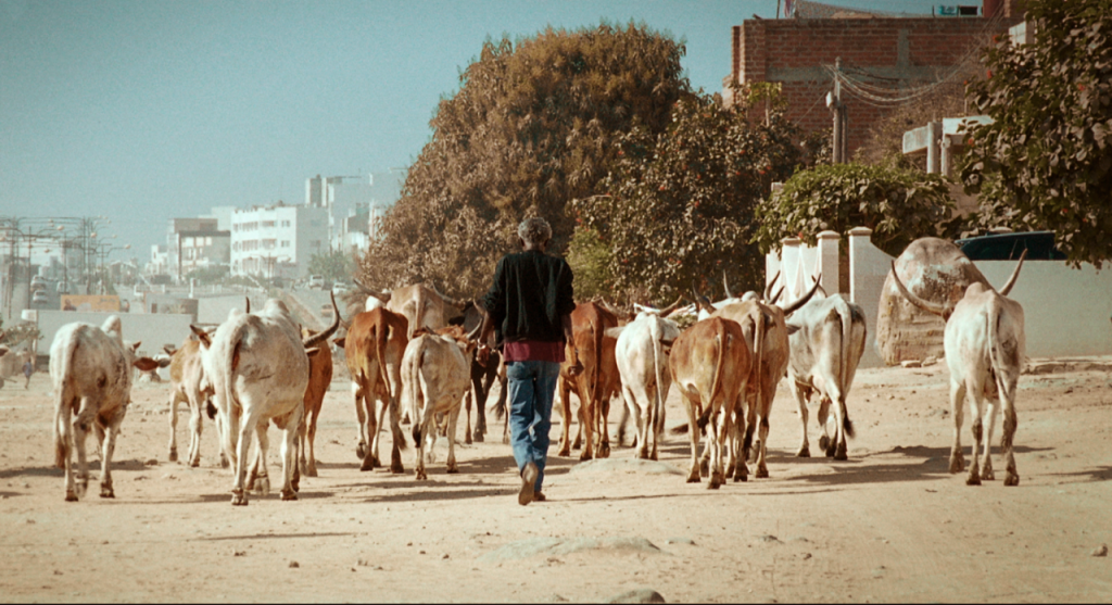 Still from "Milles Soleils" (A Thousand Suns), 2014. Dir. Mati Diop. Running time 45 mins. Photo courtesy Pacific Film Archive.