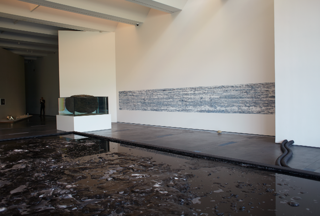 Pierre Huyghe, installation view at LACMA, 2015. Photo courtesy of Ola Rindal.