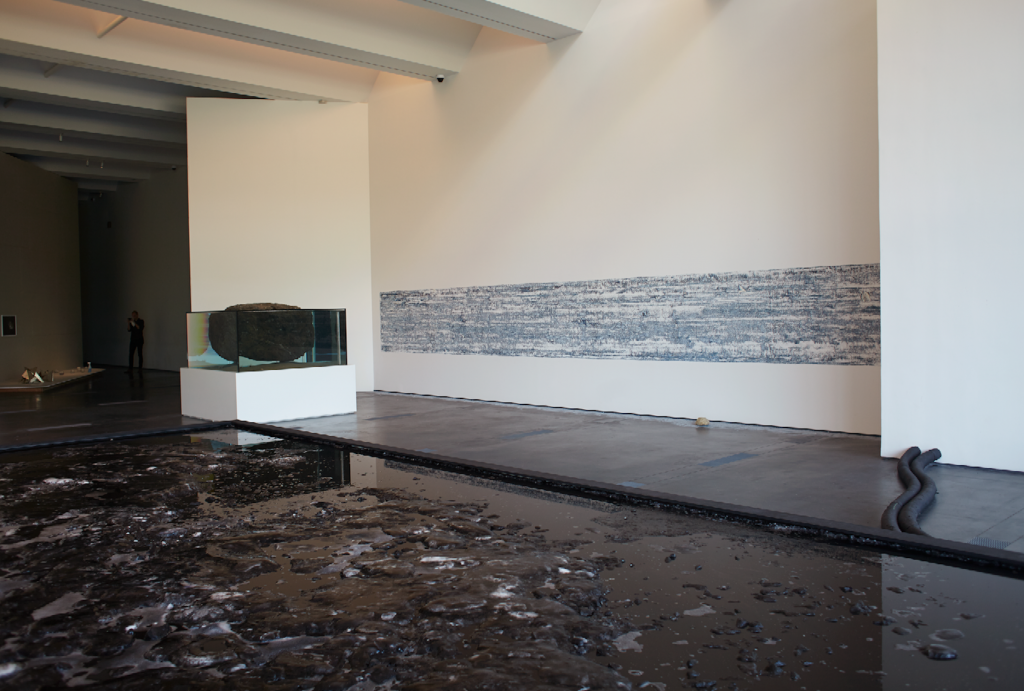 Pierre Huyghe, installation view at LACMA, 2015. Photo courtesy of Ola Rindal. 