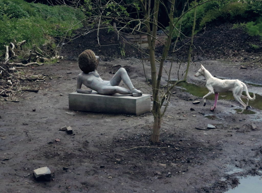 Pierre Huyghe, "Untitled," 2011–2012. Alive entities and inanimate things, made and not made. Courtesy of the artist; Hauser & Wirth, London; Marian Goodman Gallery, New York; Esther Schipper, Berlin; Anna Lena, Paris.
