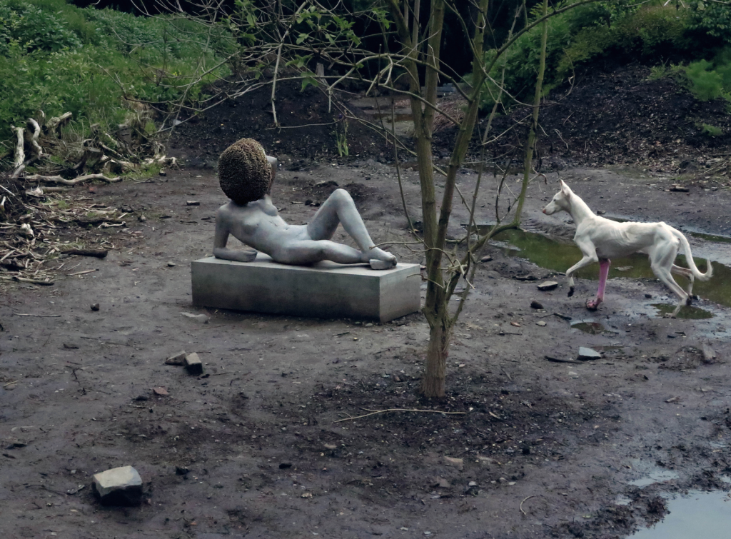 Pierre Huyghe, "Untitled," 2011–2012. Alive entities and inanimate things, made and not made. Courtesy of the artist; Hauser & Wirth, London; Marian Goodman Gallery, New York; Esther Schipper, Berlin; Anna Lena, Paris. 