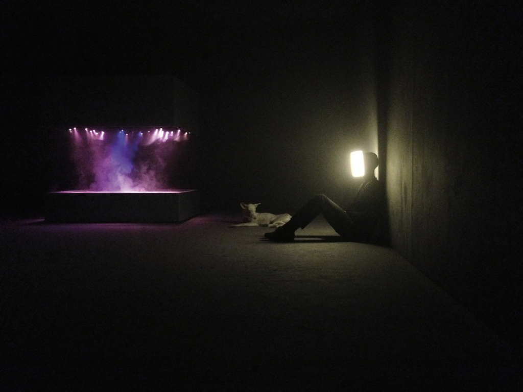 Pierre Huyghe, installation view at the Centre Georges Pompidou, 2013–2014. Courtesy of the artist and Marian Goodman Gallery, New York / Paris.