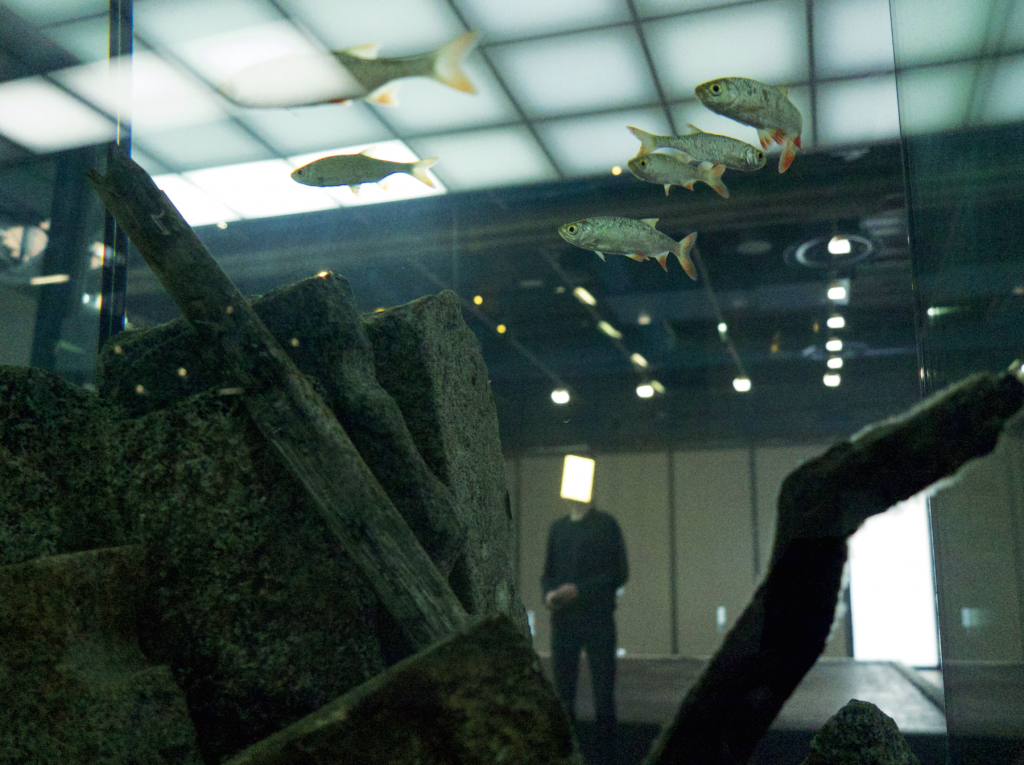 Pierre Huyghe, installation view at the Centre Georges Pompidou, 2013–2014. Courtesy of the artist and Marian Goodman Gallery, New York / Paris.