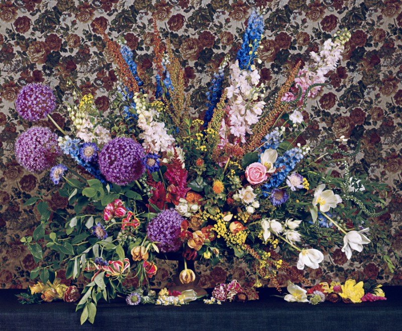 Inside the Vision Machine Jessica Eaton’s Wild Permutations SFAQ / NYAQ / LXAQ