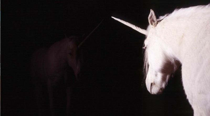 MONTENEGRO:  Montenegrin biologist and shaman Aleksandar Duravcevic was commissioned by art critic Jerry Saltz to genetically create a unicorn as his chauffeur.   Mr. Saltz named the unicorn "I Wont be Upstaged."