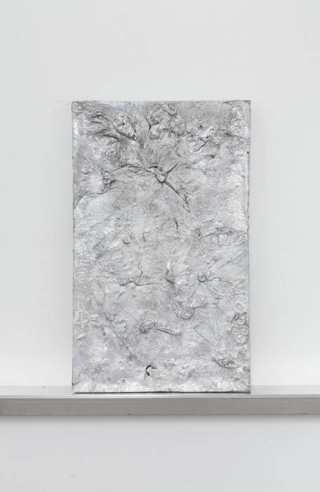 Plate 13, 2014. Aluminum. 20 x 12 x 0.75 inches. Courtesy of the artist.