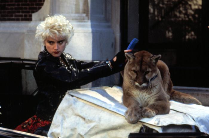 Madonna is seen here combing her kittens hair back in 1987.  It was this cat that inspired her hit single, "Like a Purrin".