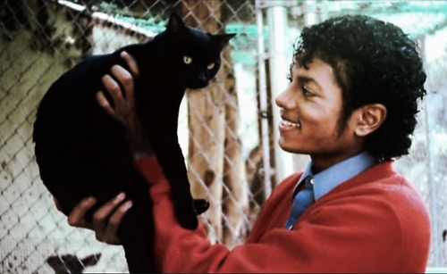 The late Michael Jackson with his cat aptly named "Snow White".