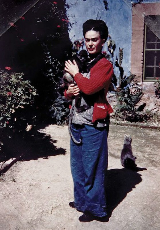 Frida Kahlo sporting an early line of FUBU jeans and a pet monkey.  Her feline companion, Marbles, sits nervously at her feet.