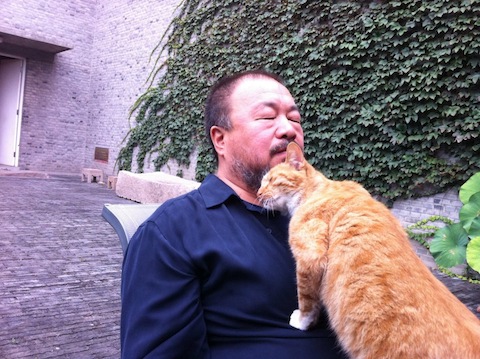 Ai Weiwei with his cat he lovingly calls "The Chinese State".