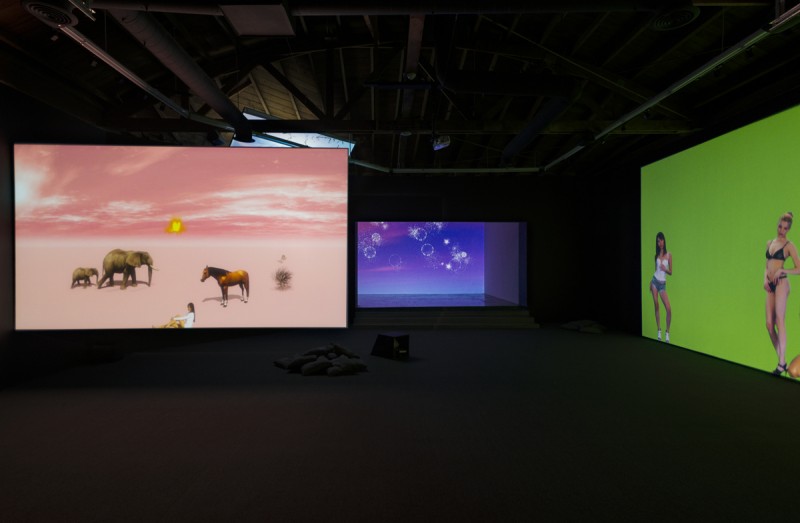 Petra Cortright. Installation view, "Niky, Lucy, Lola, Viola," 2015. Courtesy of Lyn Winter. Photo: Jeff McLane