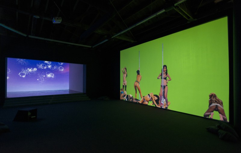 Petra Cortright. Installation view, "Niky, Lucy, Lola, Viola," 2015. Courtesy of Lyn Winter. Photo:  Jeff McLane