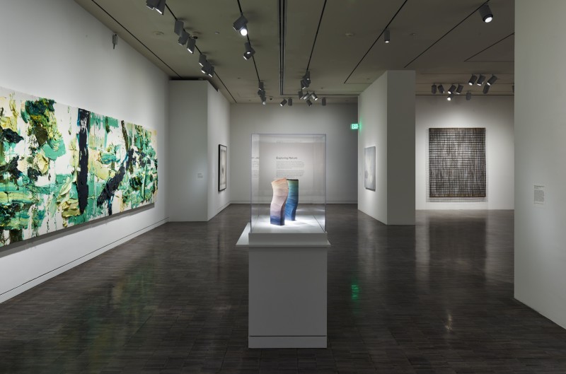 Installation view of First Look: Collecting Contemporary at the Asian, 2015, Asian Art Museum of San Francisco.