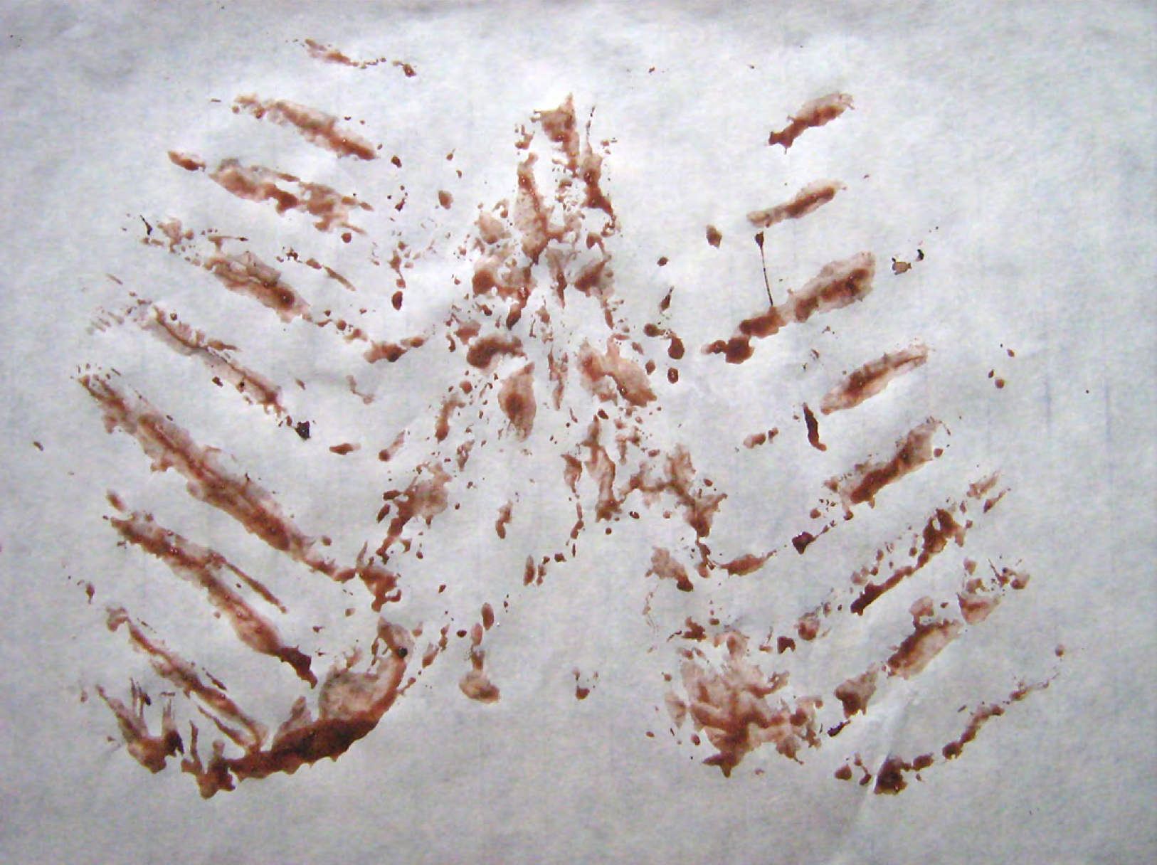 Mike Osterhout, RIBS, 2012. Deer blood on rice paper. Courtesy of the artist.