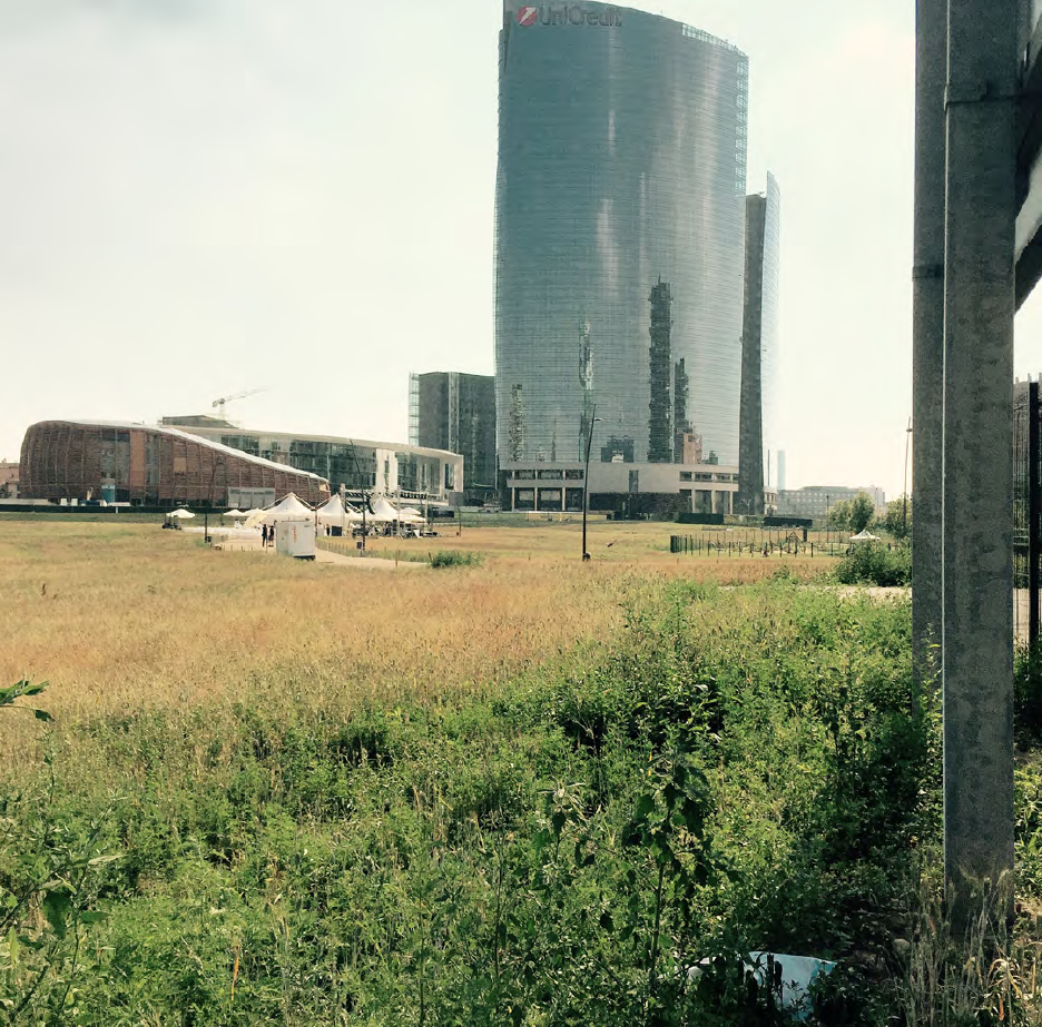 Wheatfield and UniCredit, Milan, 2015. Photograph by Caroline Maxwell.