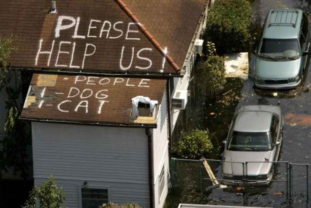 New Orleans After Katrina. Courtesy of the Internet.