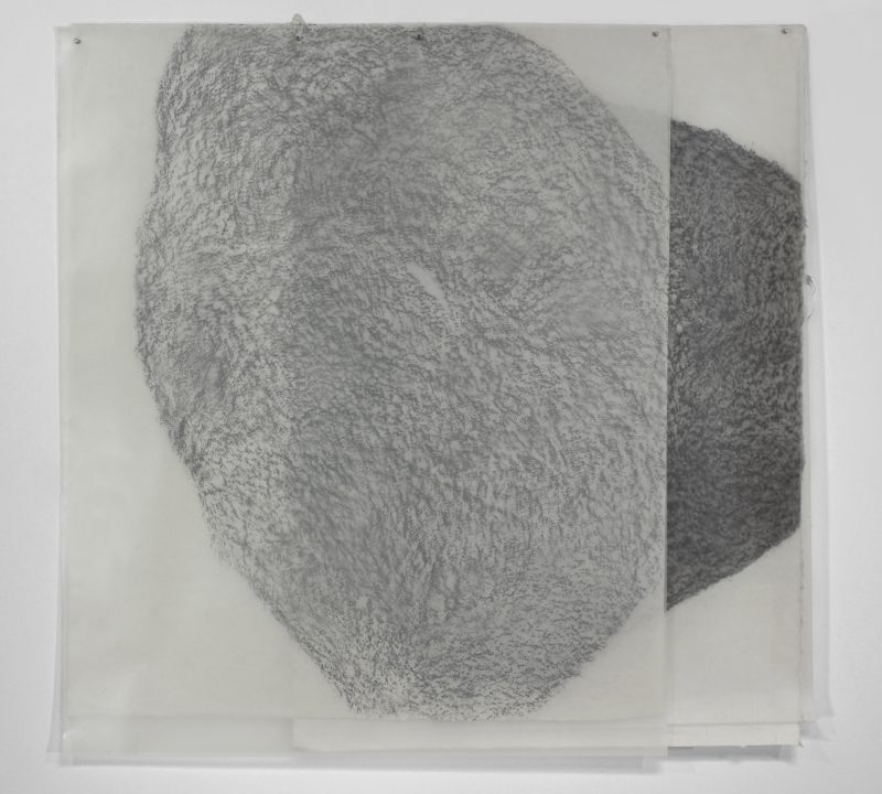 Theodora Varnay Jones, F-5, 2015. Frottage (graphite on handmade Japanese papers, polyethylene films) 42.5” x 43.5” 