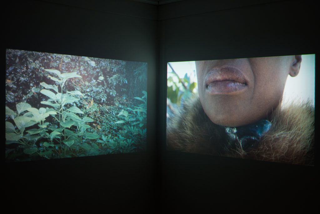 Suné Woods, A Feeling Like Chaos, 2015. Two-channel video installation