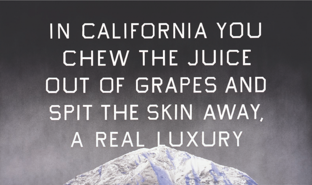 California Grape Skins, 2009. Acrylic on canvas, 38 x 64 inches. © Ed Ruscha.