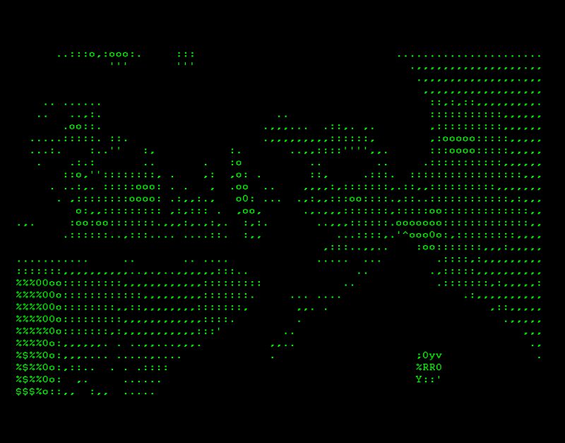 Vuk Ćosić, ASCII Taxi Driver Year, 1998. ASCII Video Dimensions: 1'29" Courtesy of the artist