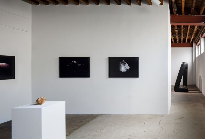 Leah Raintree, Installation view of Another Land: After Noguchi, 2016. Courtesy of Noguchi Museum. Photo Credit: Nicholas Knight