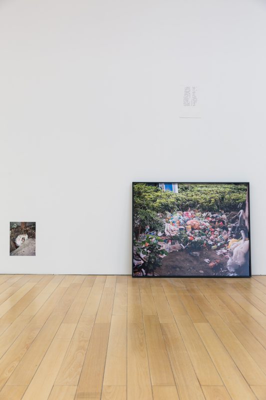 I – Hsuen Chen, Still Life Analysis II, The Island, 2015 -2016. Archival inkjet prints, framed photos 4: 82 x 102 cm/ 3: 61 x 92 cm, dimensions variable. Courtesy of Taipei Fine Arts Museum.